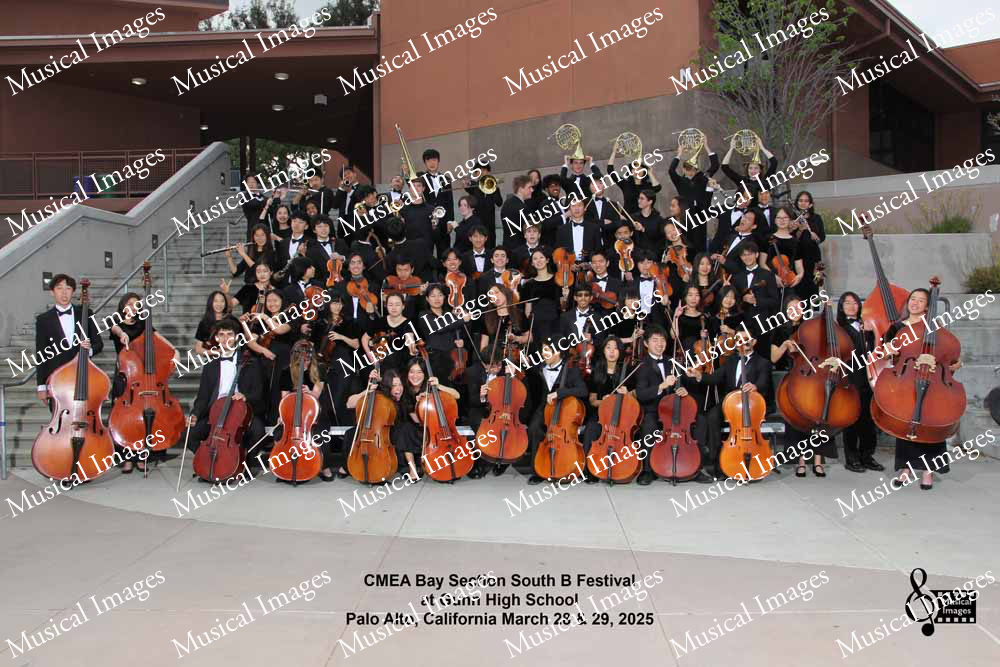 Musical Images